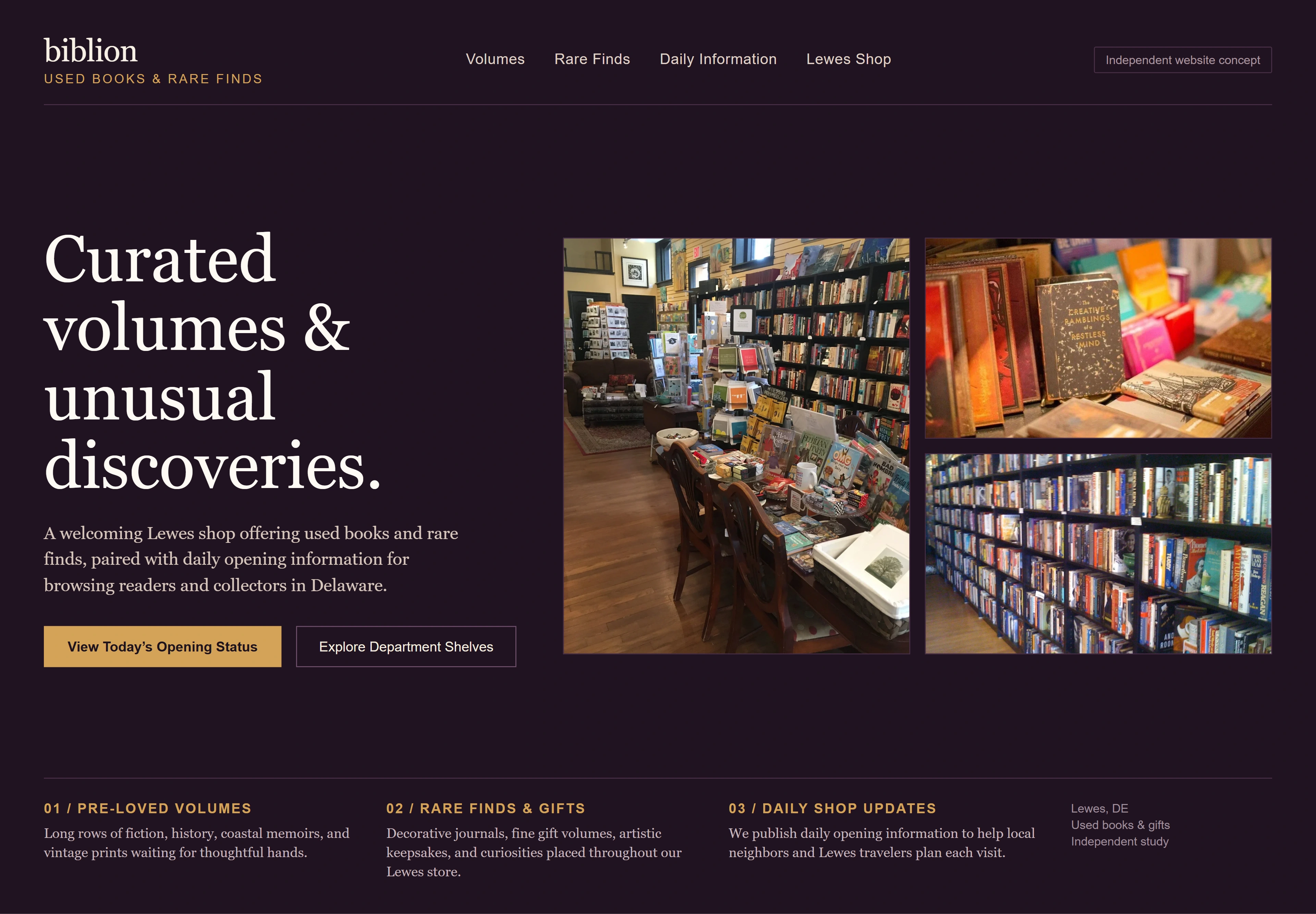 biblion: used books & rare finds, individual website design concept A