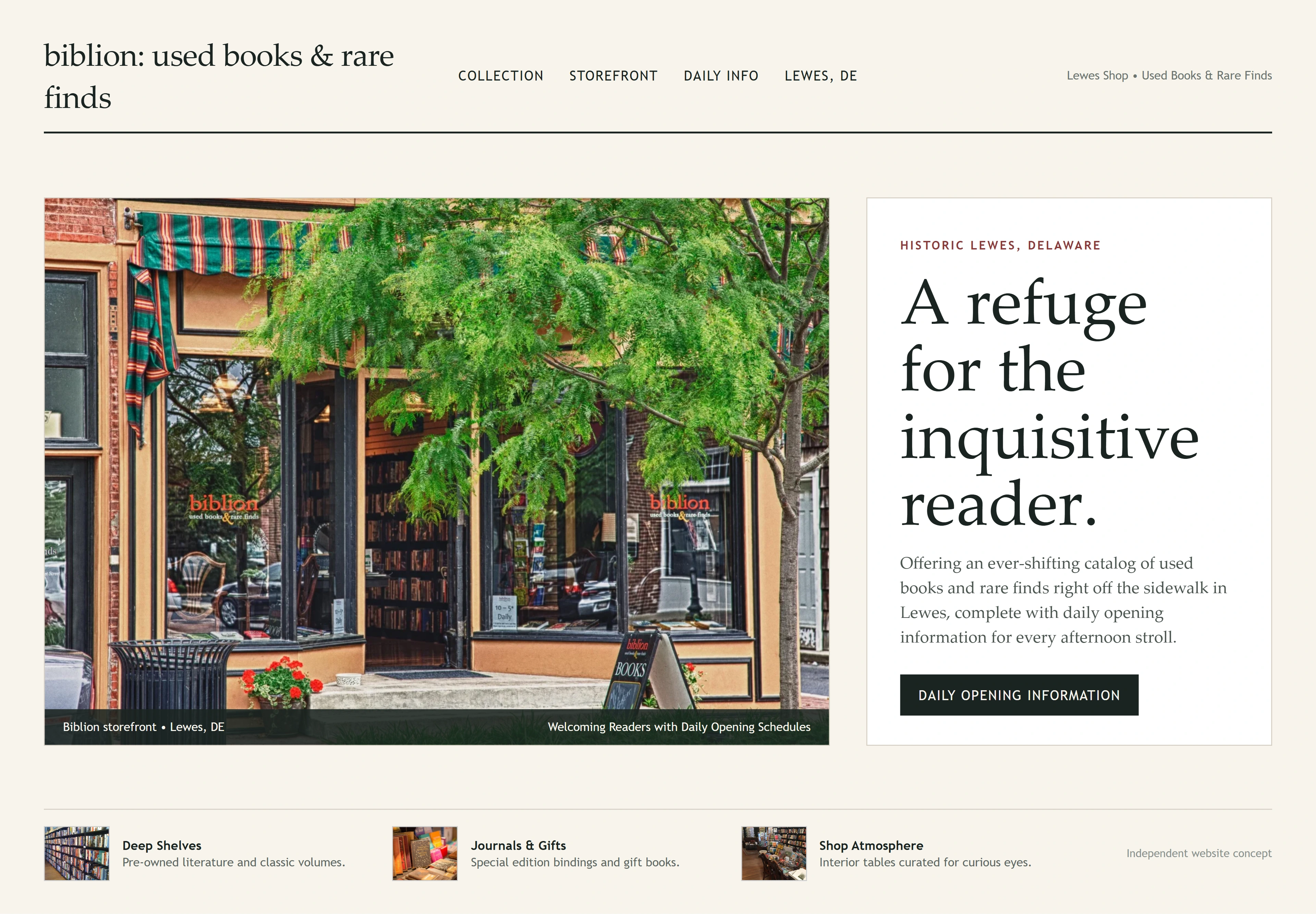 biblion: used books & rare finds, individual website design concept B