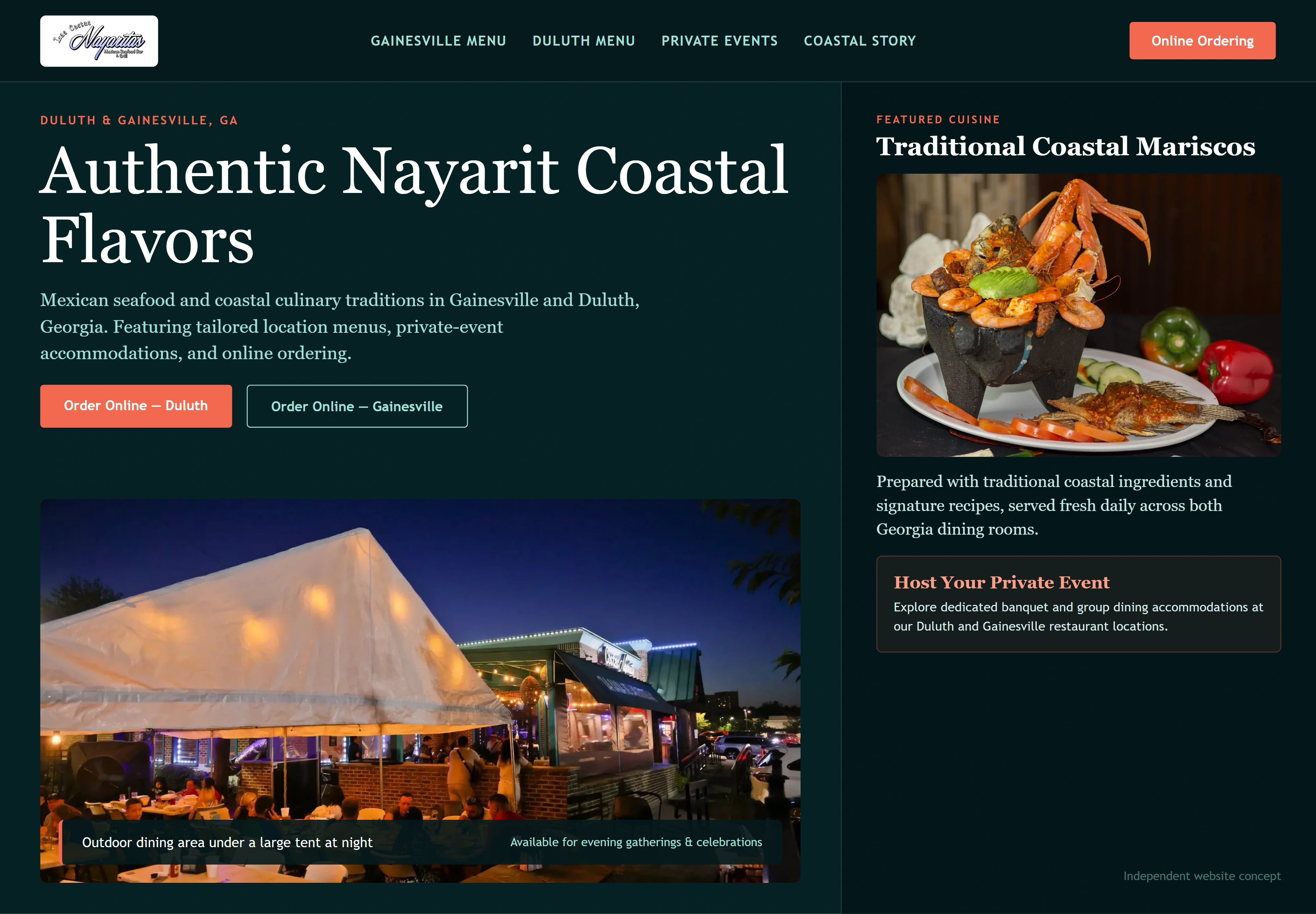 Las Costas Nayaritas, individual website design concept A