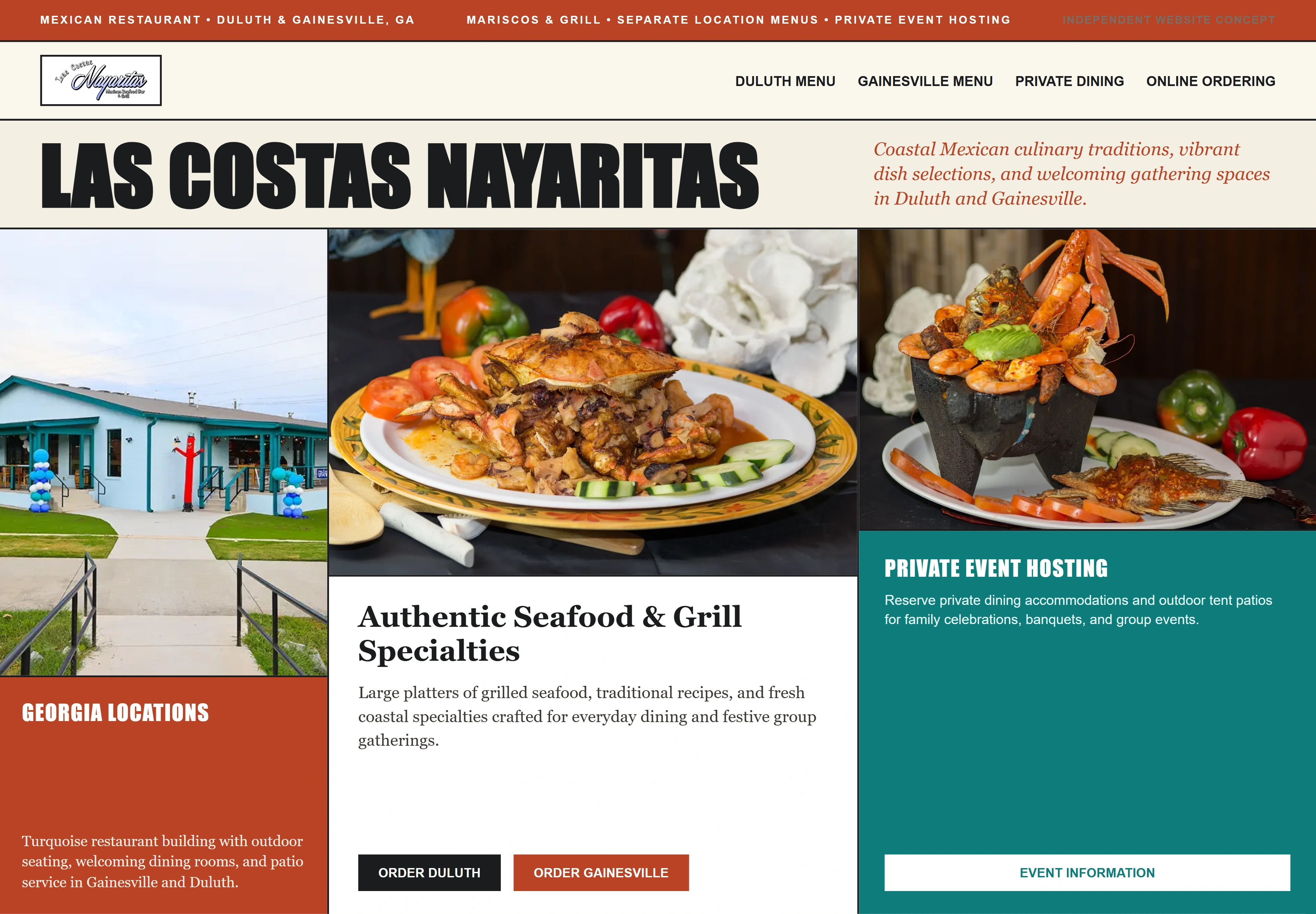 Las Costas Nayaritas, individual website design concept B