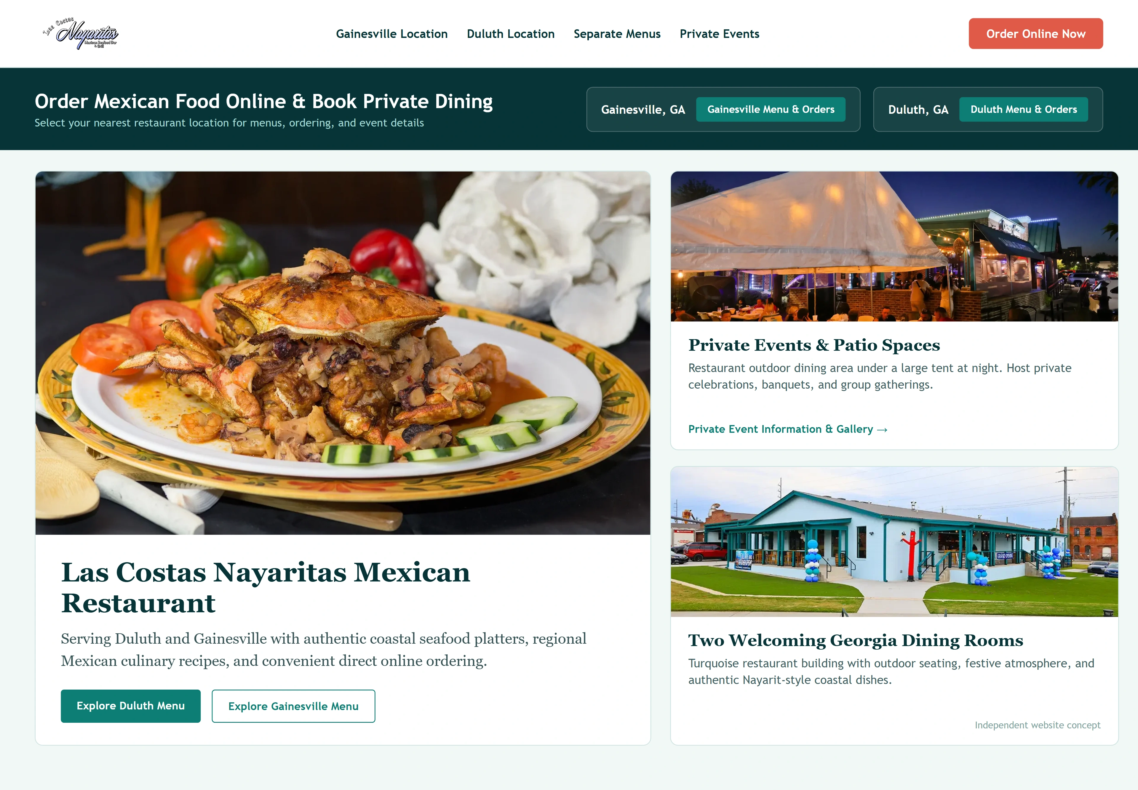 Las Costas Nayaritas, individual website design concept C