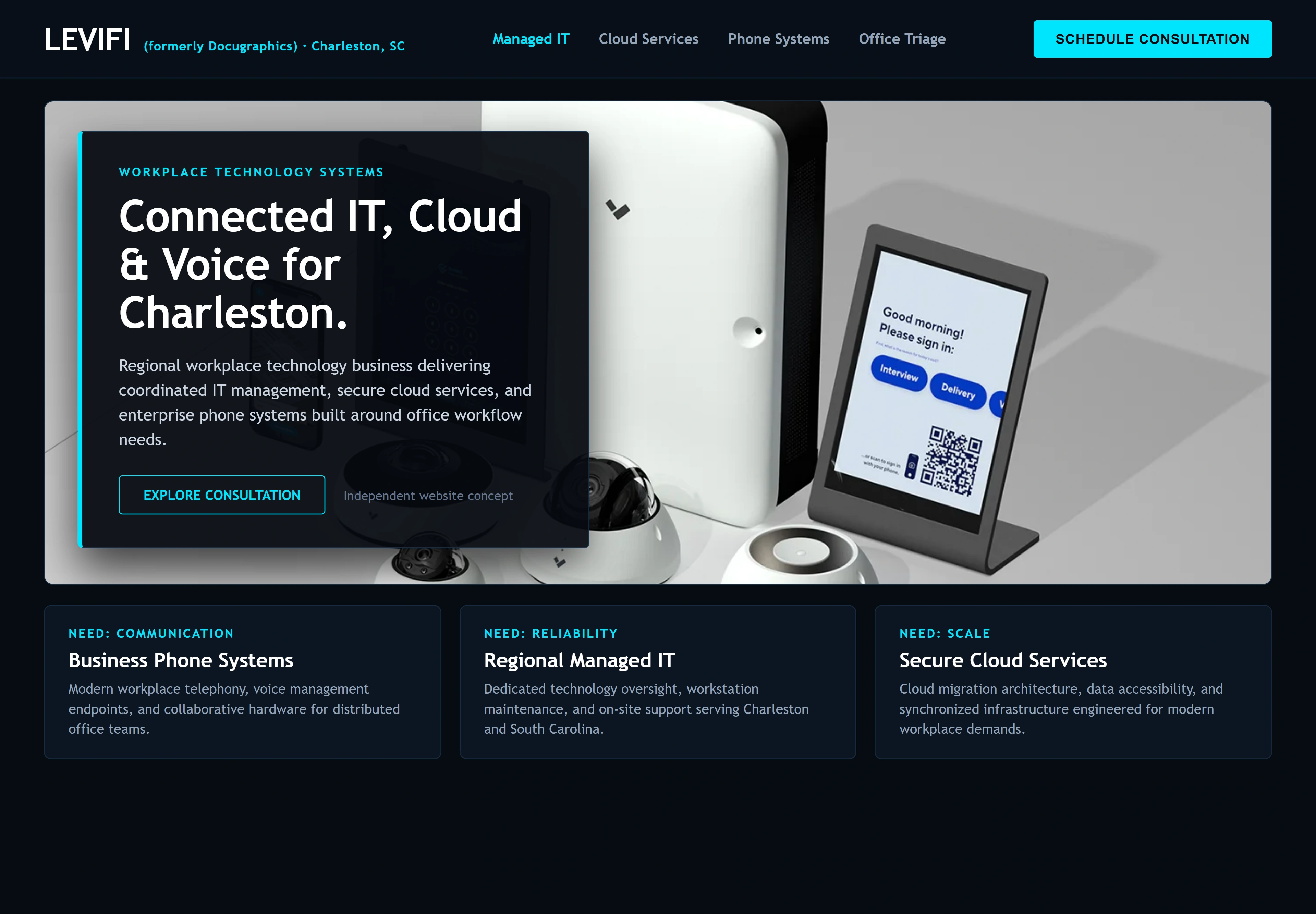 Levifi (formerly Docugraphics), individual website design concept A