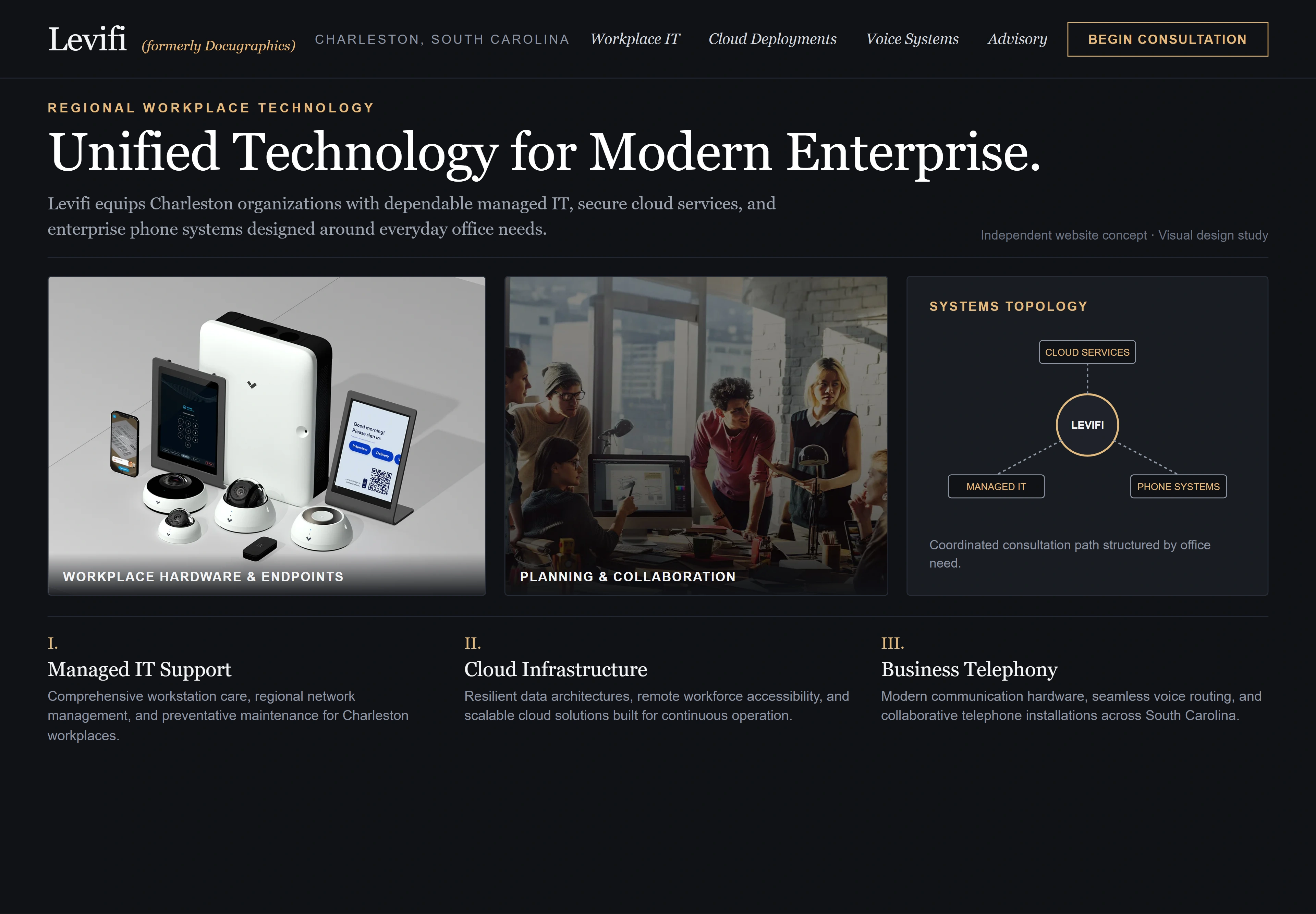 Levifi (formerly Docugraphics), individual website design concept D