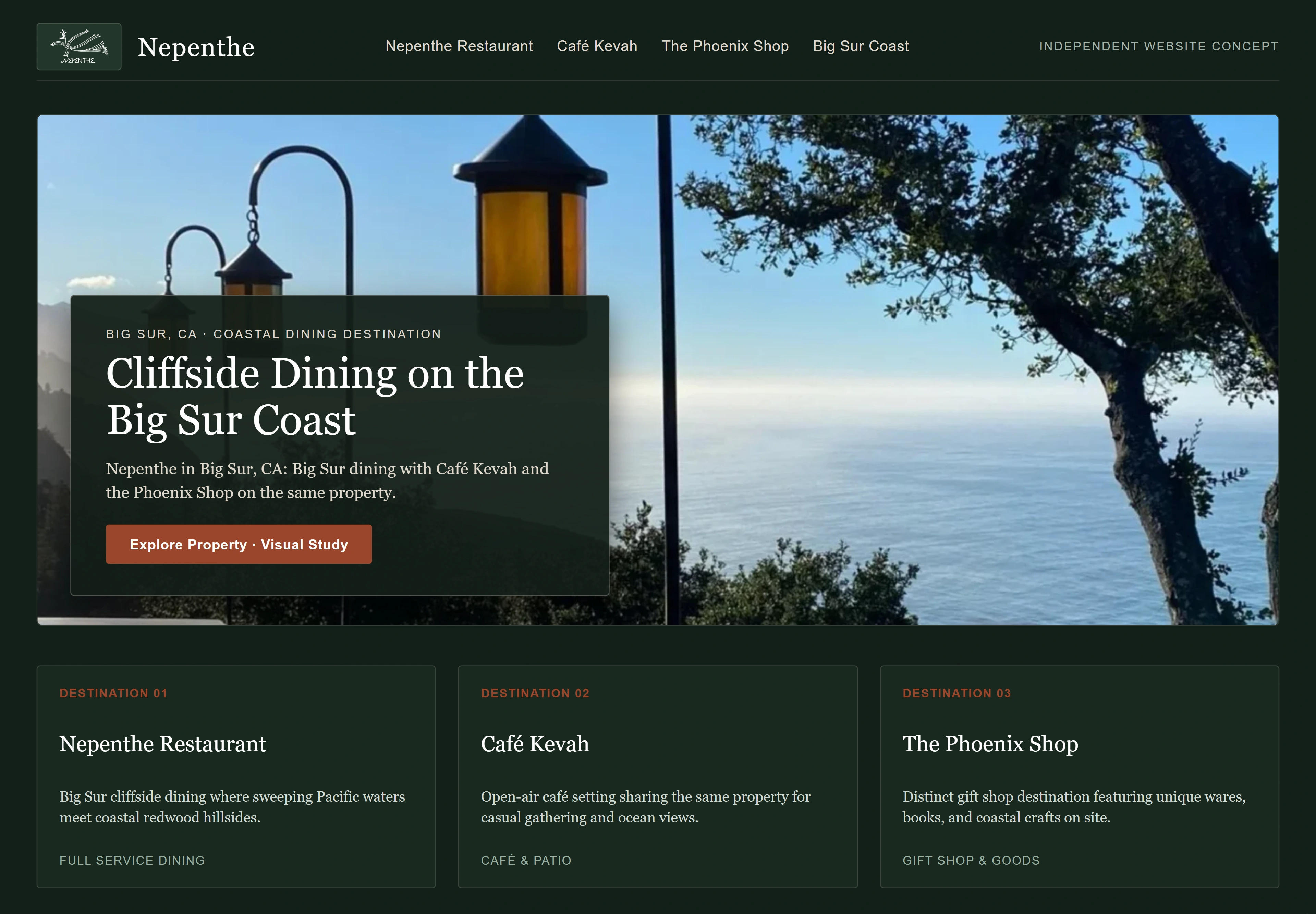 Nepenthe, individual website design concept A