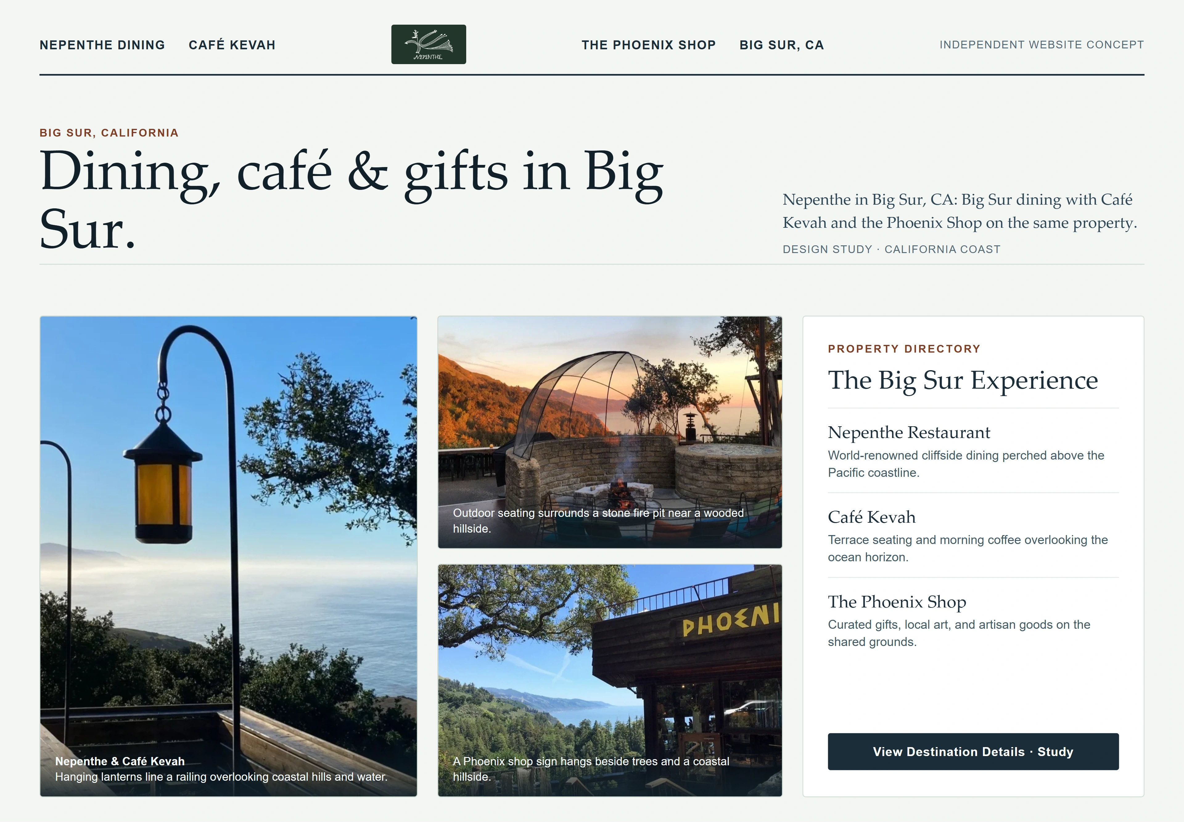 Nepenthe, individual website design concept B