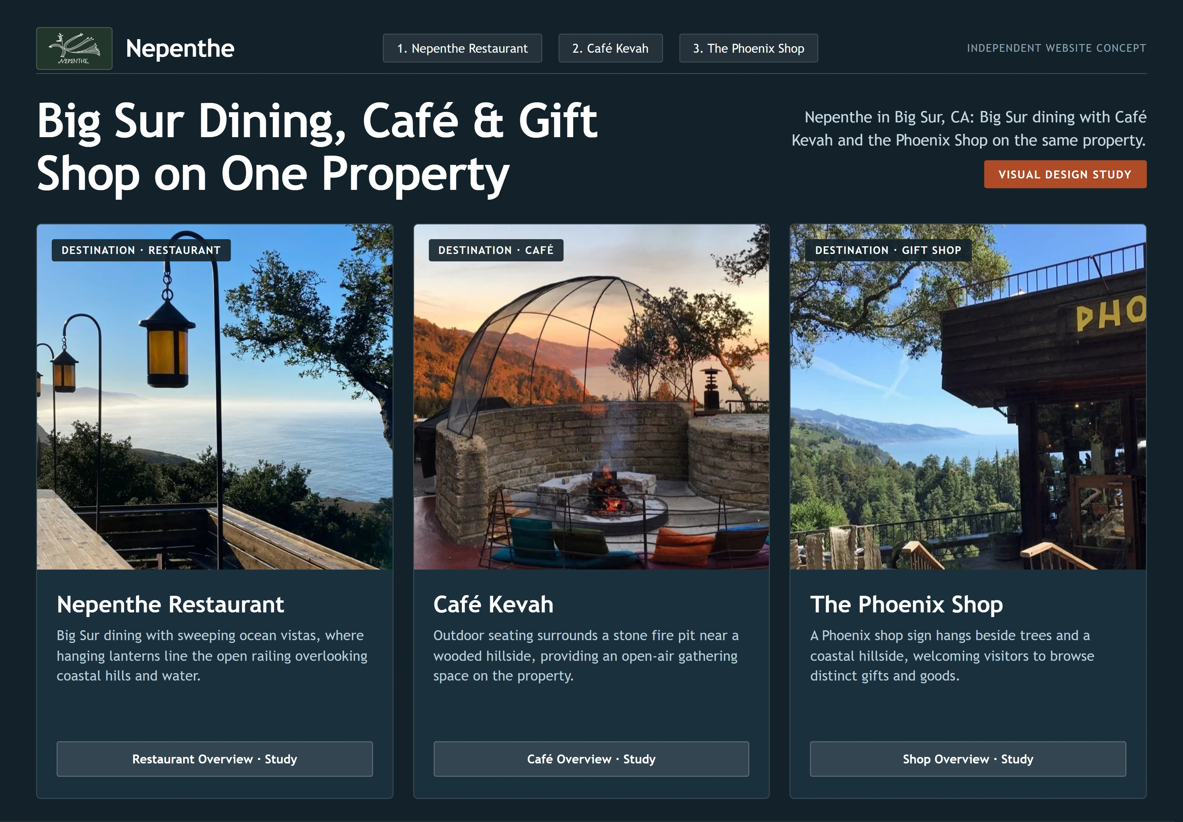 Nepenthe, individual website design concept C
