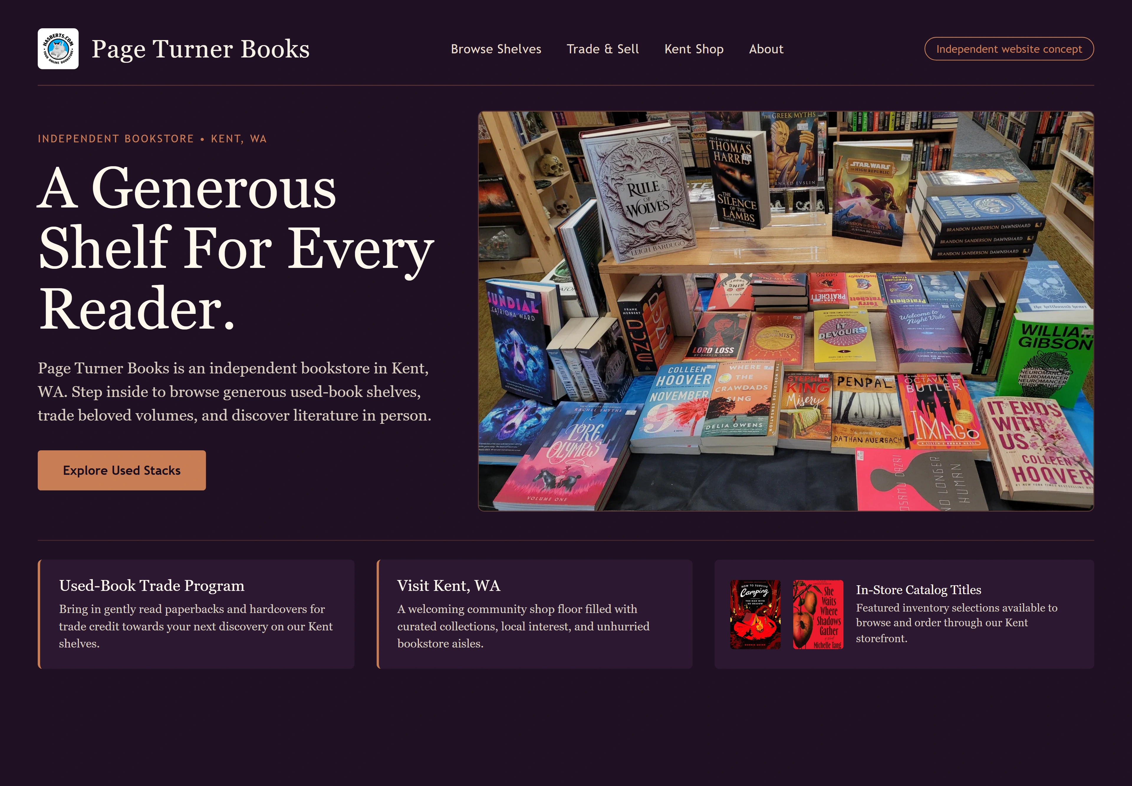 Page Turner Books, individual website design concept A