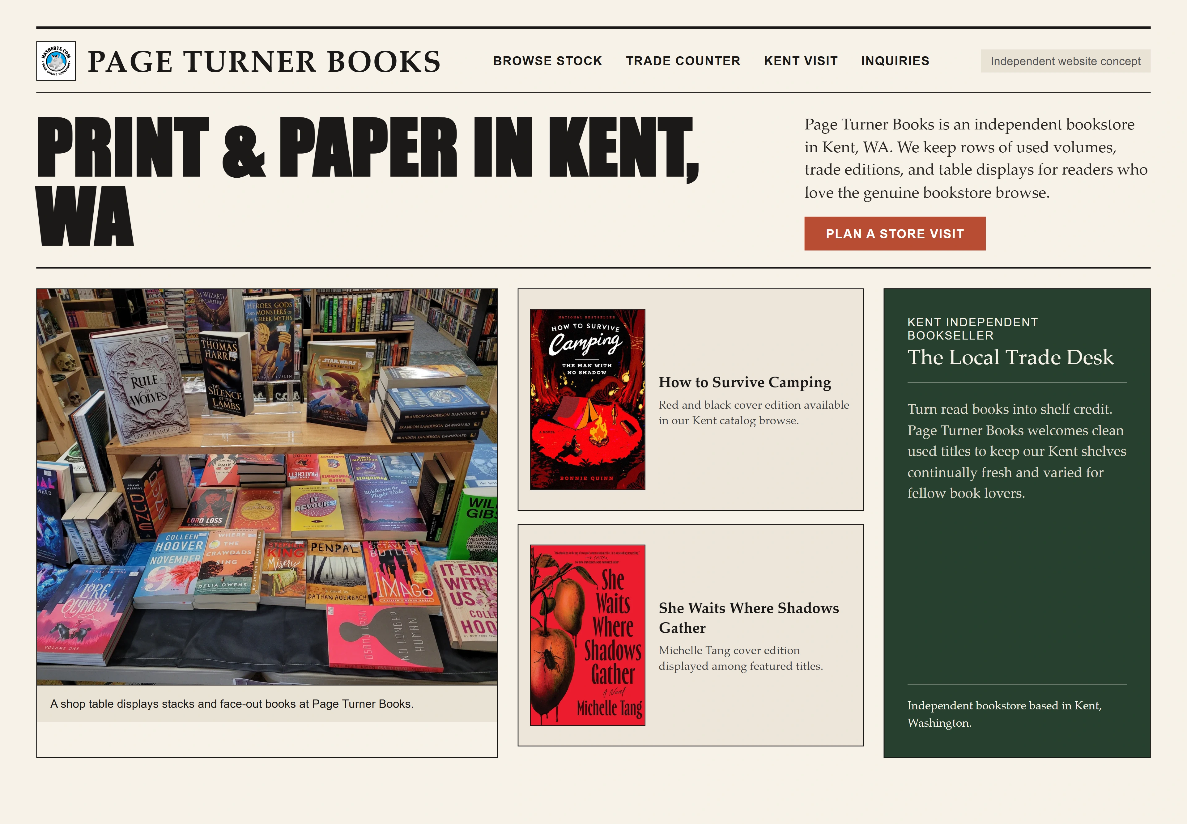 Page Turner Books, individual website design concept B